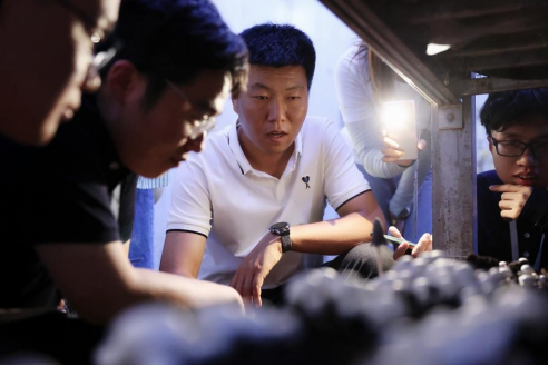 寻访闽宁精神 湘约协同提质 寻访闽宁精神 湘约协同提质